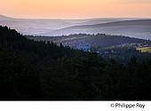 48F01838.jpg
