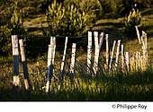 48F02023.jpg