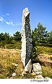 48F02035.jpg