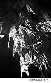64F04036.jpg