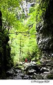 64F04040.jpg
