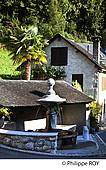 64F04326.jpg