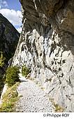 64F04607.jpg