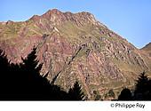 64F04708.jpg