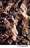 64F04713.jpg