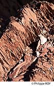 64F04714.jpg