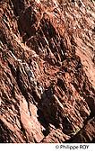 64F04716.jpg
