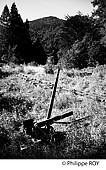 64F04729.jpg