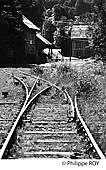64F04812.jpg