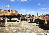 64F05038.jpg