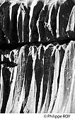 64F05630.jpg