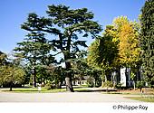 65F02201.jpg