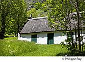 65F02539.jpg