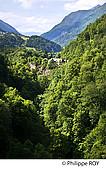 65F02638.jpg