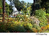 65F03818.jpg