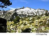 65F04607.jpg