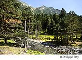 65F07032.jpg