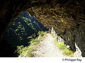 66F00639.jpg