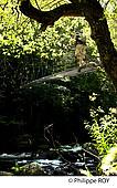 66F00734.jpg