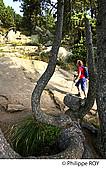 66F03233.jpg