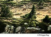 66F03415.jpg
