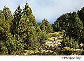 66F03418.jpg