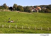 70F00213.jpg