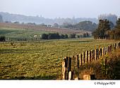 70F00215.jpg