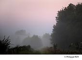 70F01230.jpg