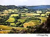 71F00420.jpg