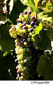 73F01629.jpg