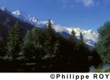 74F00134.jpg