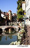 74F01314.jpg
