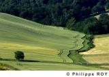 82F00110.jpg