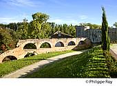 82F01531.jpg