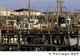 85F00236.jpg