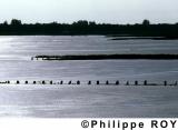 85F00726.jpg