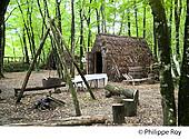 85F01105.jpg