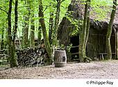 85F01106.jpg