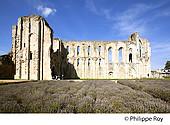 85F02330.jpg