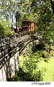 85F02509.jpg