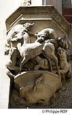 85F02729.jpg