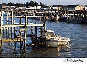85F03313.jpg