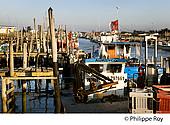85F03316.jpg