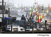 85F03323.jpg