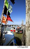 85F03335.jpg