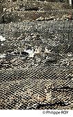 85F03836.jpg