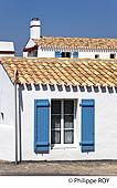 85F03837.jpg