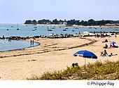 85F03904.jpg