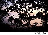 85F03937.jpg